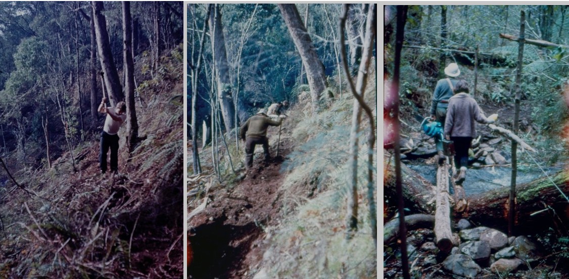 Building NWSpur Track