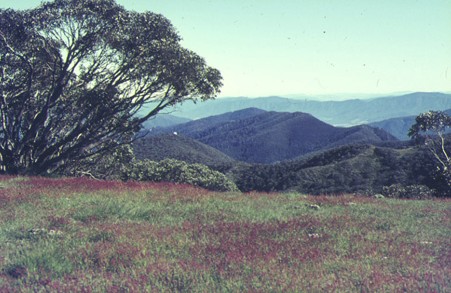 Hut Location From Cross1