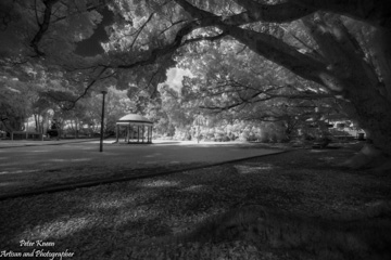 Memorial Park in Mortdale NSW