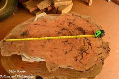 DPics61