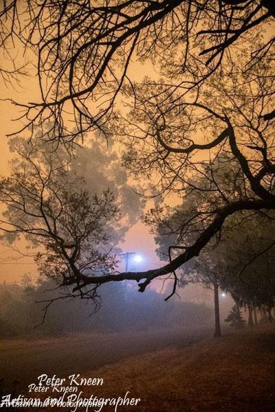 DPics43
