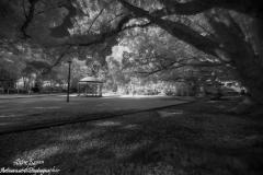 DPics36