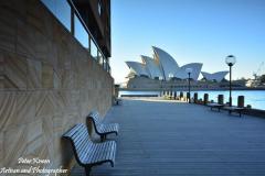 DPics37