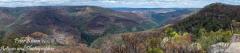 DPics41
