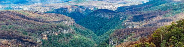 View from Echo Point Lookout after the Morton Fires