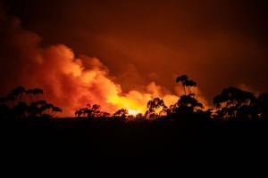 The Morton Bushfire 2019-20