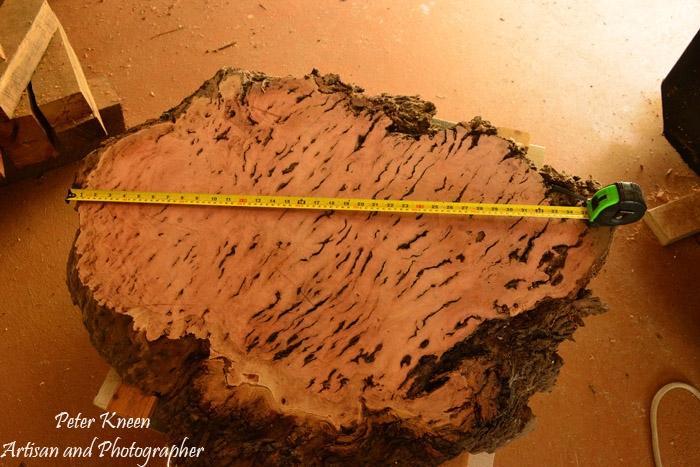 Work in Progress - Burls Part 1