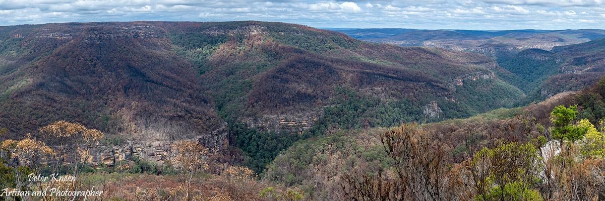 BushfiresCatF
