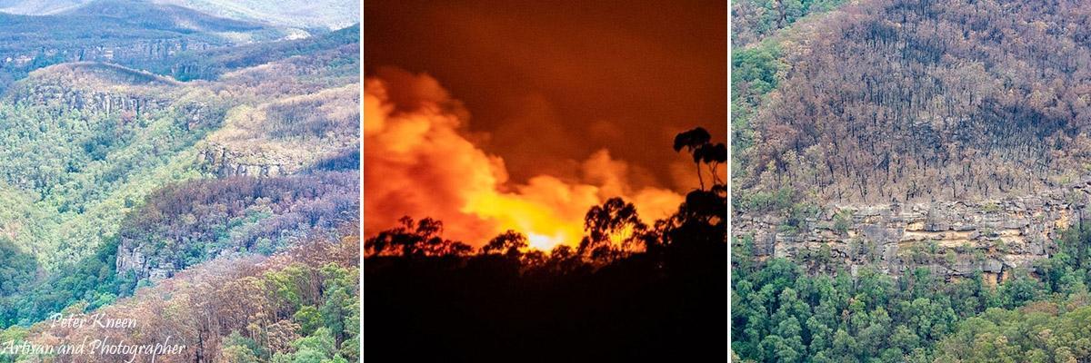 BushfiresCatJ