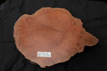 WGB04 04