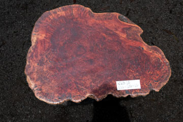 WGB05 02
