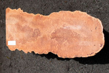 WGB09 01
