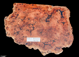 WGB11 01