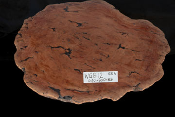 WGB12 01